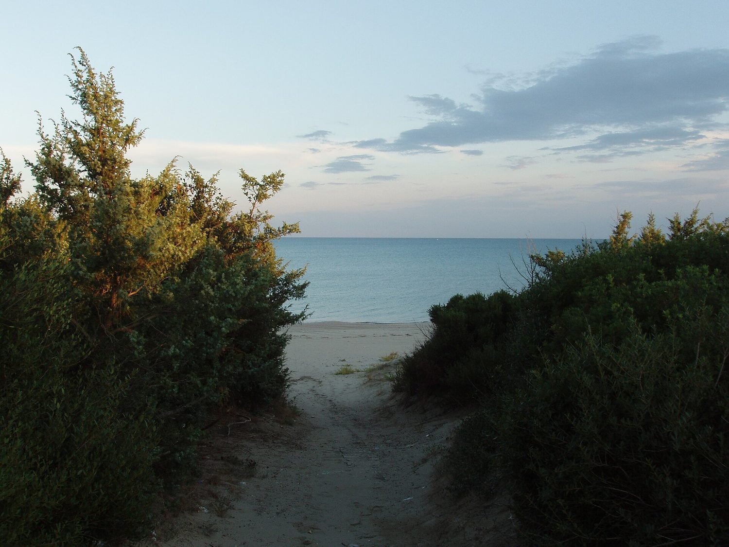 Il sentiero tra la macchia mediterranea che porta alla spiaggia di Castellaneta Marina