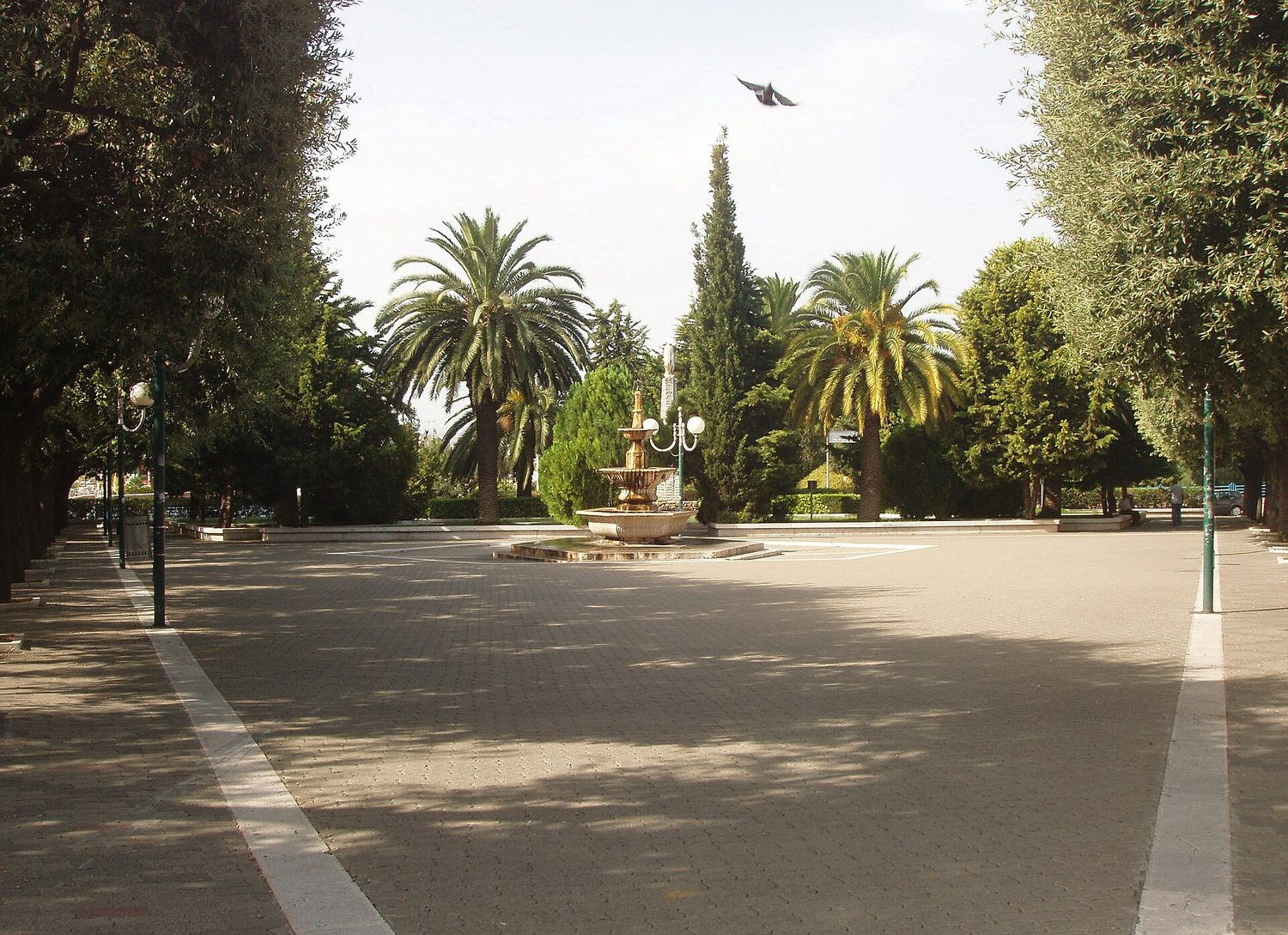 Piazza Umberto I a Castellaneta con la fontana monumentale e le palme