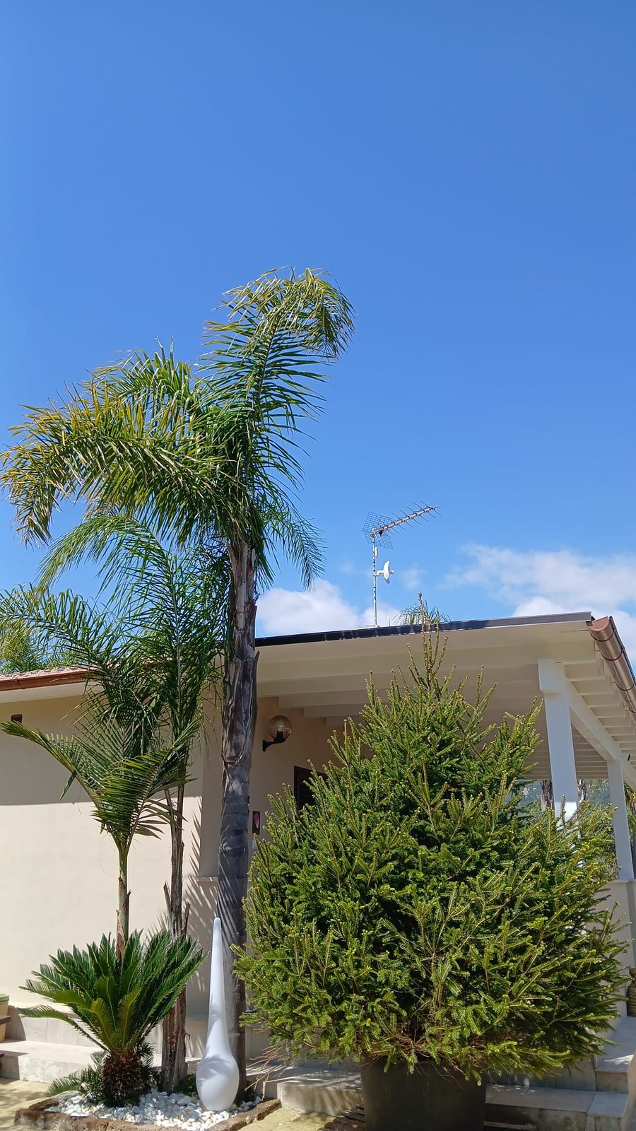 Relais San Giovanni · l'esterno della struttura fra le palme, Castellaneta (Taranto)