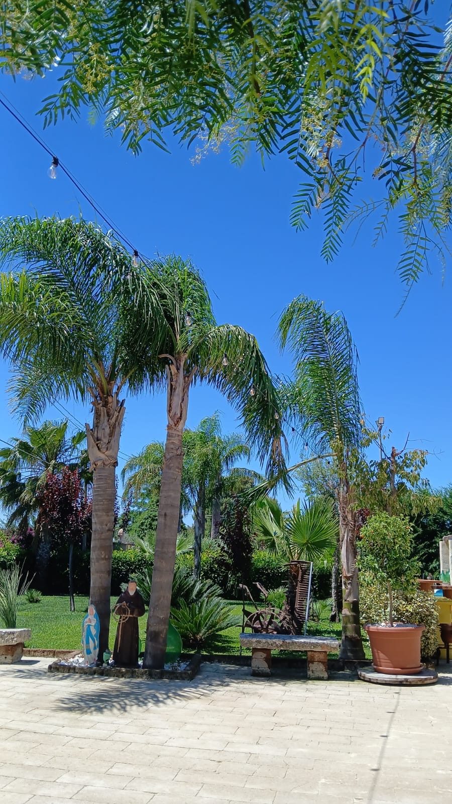 Relais San Giovanni · le palme del giardino, Castellaneta (Taranto)