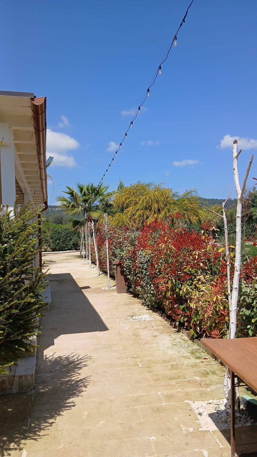 Relais San Giovanni · il vialetto fiorito del giardino, Castellaneta (Taranto)