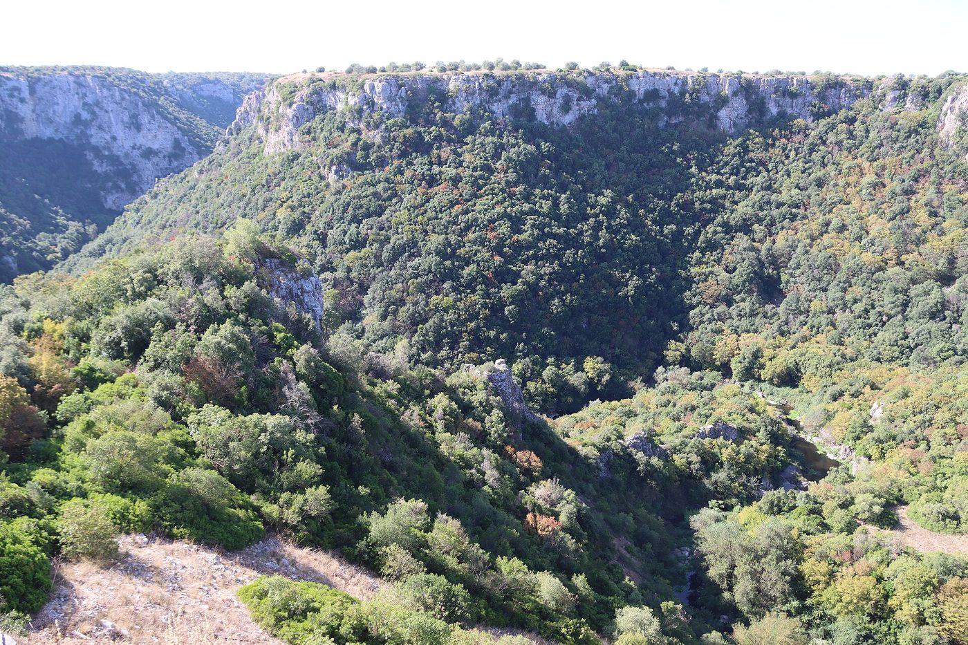 La Gravina di Laterza nel Parco naturale regionale Terra delle Gravine
